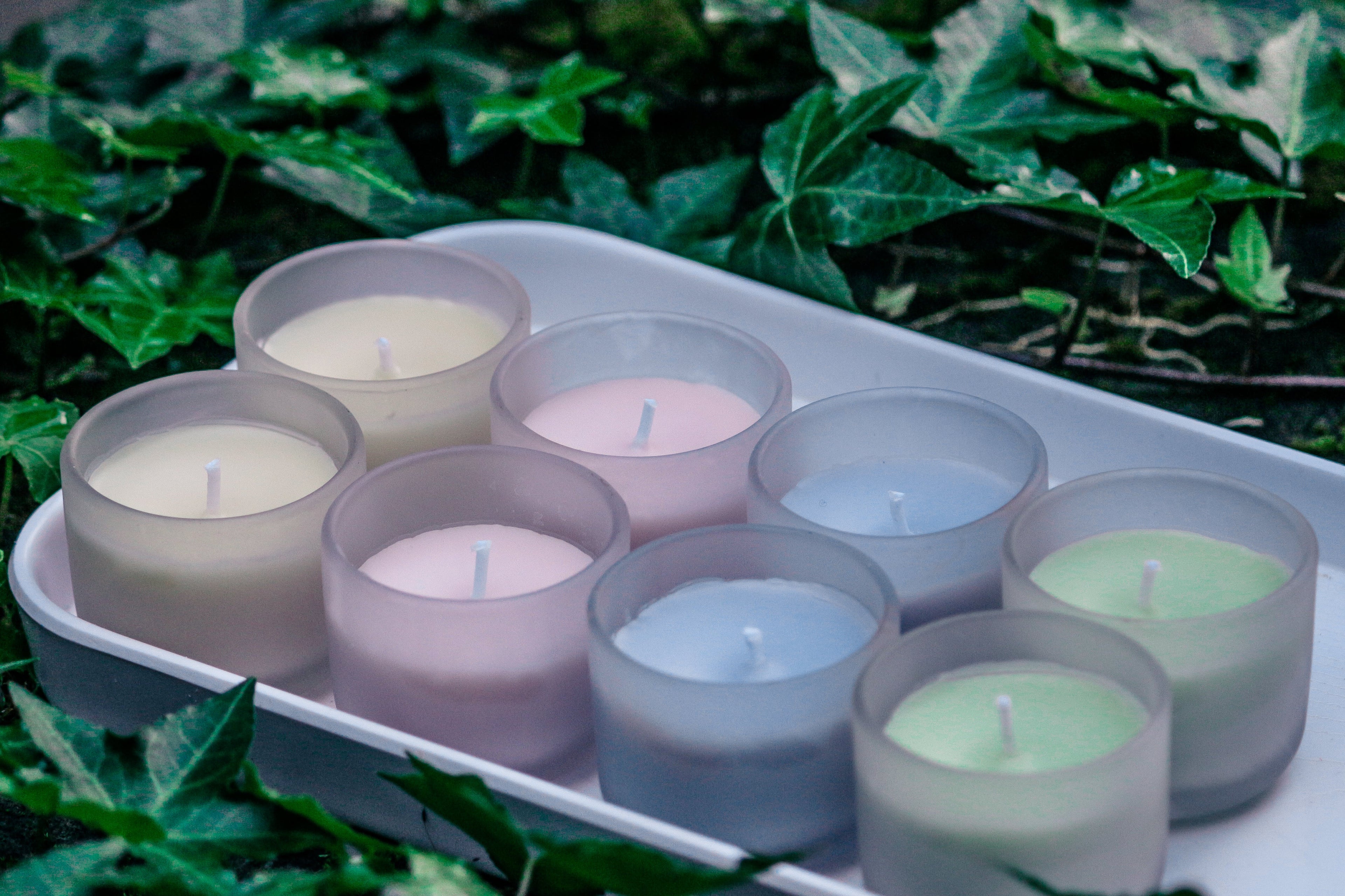 Set of small candles in various colors on a white tray with green leaves in the background